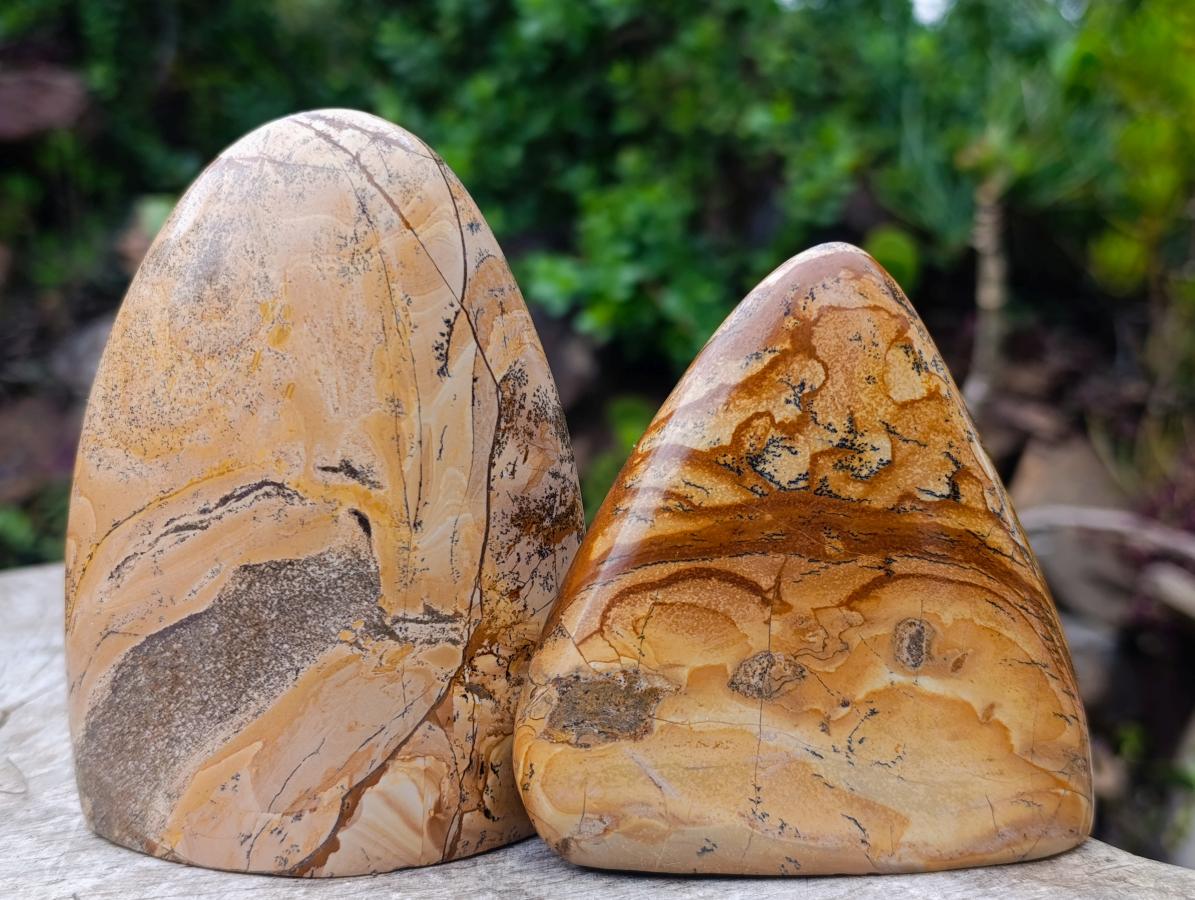 Polished Picture Stone Jasper Standing Display Pieces x 3 From Ais-Ais, Namibia - Toprock Gemstones and Minerals 
