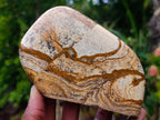 Polished Picture Stone Jasper Standing Display Pieces x 3 From Ais-Ais, Namibia - Toprock Gemstones and Minerals 