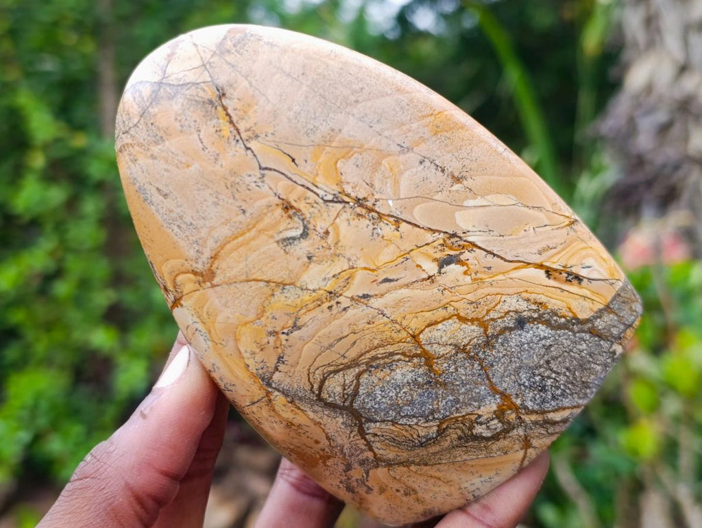 Polished Picture Stone Jasper Standing Display Pieces x 3 From Ais-Ais, Namibia - Toprock Gemstones and Minerals 