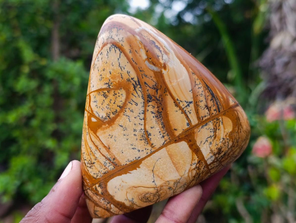 Polished Picture Stone Jasper Standing Display Pieces x 3 From Ais-Ais, Namibia - Toprock Gemstones and Minerals 