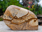 Polished Picture Stone Jasper Standing Display Pieces x 3 From Ais-Ais, Namibia - Toprock Gemstones and Minerals 