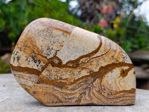 Polished Picture Stone Jasper Standing Display Pieces x 3 From Ais-Ais, Namibia - Toprock Gemstones and Minerals 