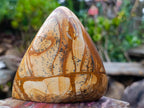 Polished Picture Stone Jasper Standing Display Pieces x 3 From Ais-Ais, Namibia - Toprock Gemstones and Minerals 