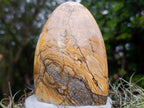 Polished Picture Stone Jasper Standing Display Pieces x 3 From Ais-Ais, Namibia - Toprock Gemstones and Minerals 