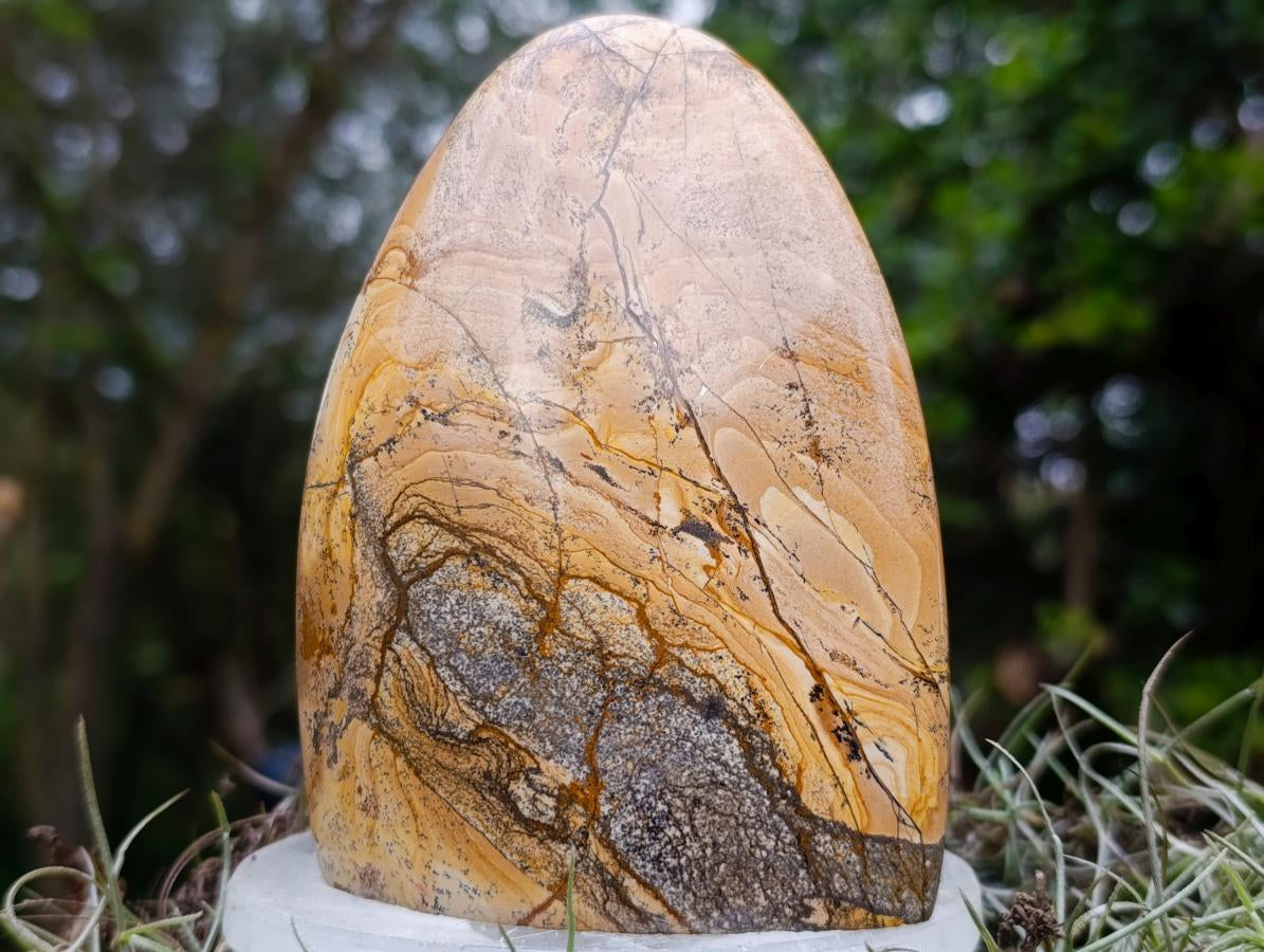 Polished Picture Stone Jasper Standing Display Pieces x 3 From Ais-Ais, Namibia - Toprock Gemstones and Minerals 