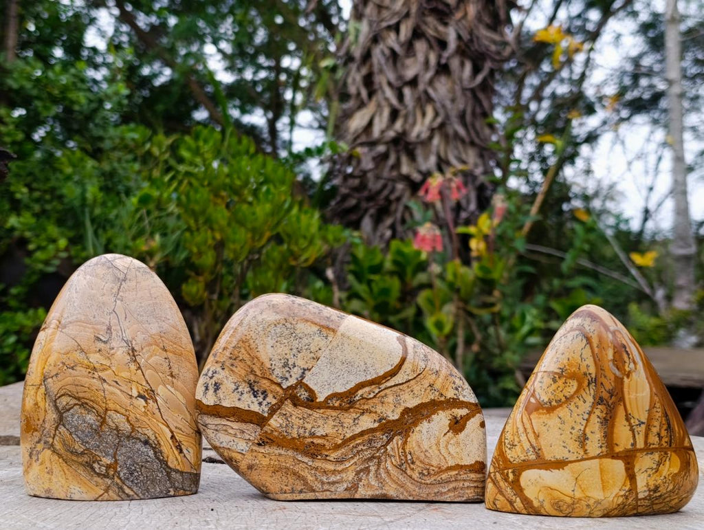 Polished Picture Stone Jasper Standing Display Pieces x 3 From Ais-Ais, Namibia - Toprock Gemstones and Minerals 