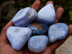 Polished Blue Lace Agate Tumbled Stones x 20 From Nsanje, Malawi - Toprock Gemstones and Minerals 