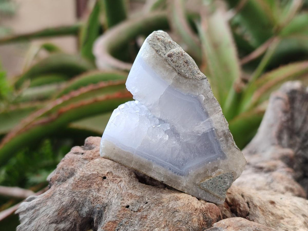 Polished On One Side Blue Lace Agate Geodes x 12 From Nsanje, Malawi - Toprock Gemstones and Minerals 