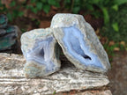 Polished On One Side Blue Lace Agate Geodes x 12 From Nsanje, Malawi - Toprock Gemstones and Minerals 