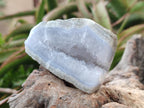 Polished On One Side Blue Lace Agate Geodes x 12 From Nsanje, Malawi - Toprock Gemstones and Minerals 