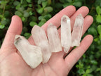 Natural White Phantom Quarts Crystals x 35 From Mpika, Zambia - Toprock Gemstones and Minerals 