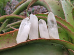 Natural White Phantom Quarts Crystals x 35 From Mpika, Zambia - Toprock Gemstones and Minerals 