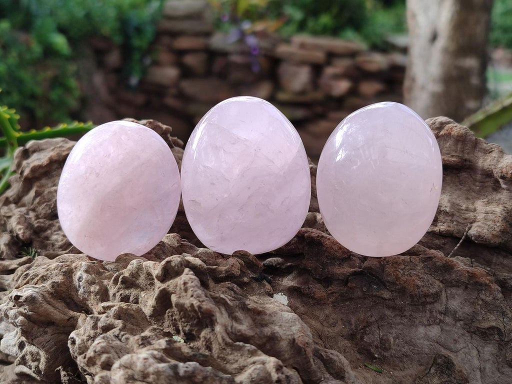 Polished Gemmy Rose Quartz Palm Stones x 24 From Madagascar - Toprock Gemstones and Minerals 