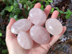 Polished Gemmy Rose Quartz Palm Stones x 24 From Madagascar - Toprock Gemstones and Minerals 