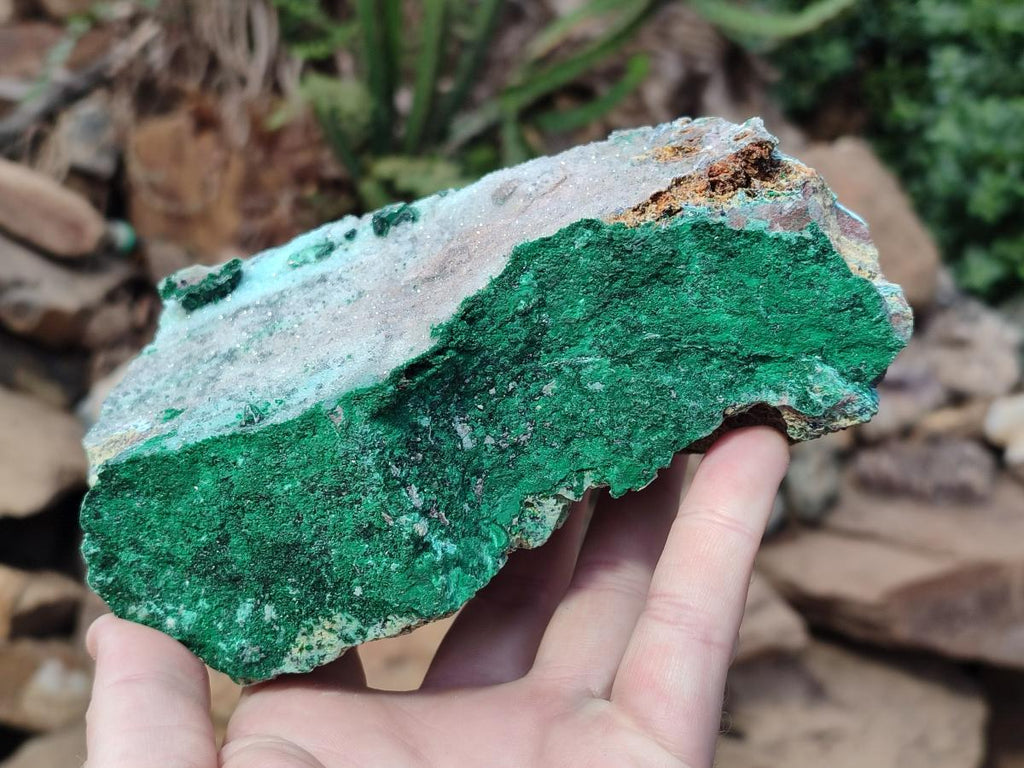 Natural Drusy Coated Chrysocolla with Malachite and Heterogenite on Dolomite Specimens x 2 From Lupoto Mine, Congo - Toprock Gemstones and Minerals 
