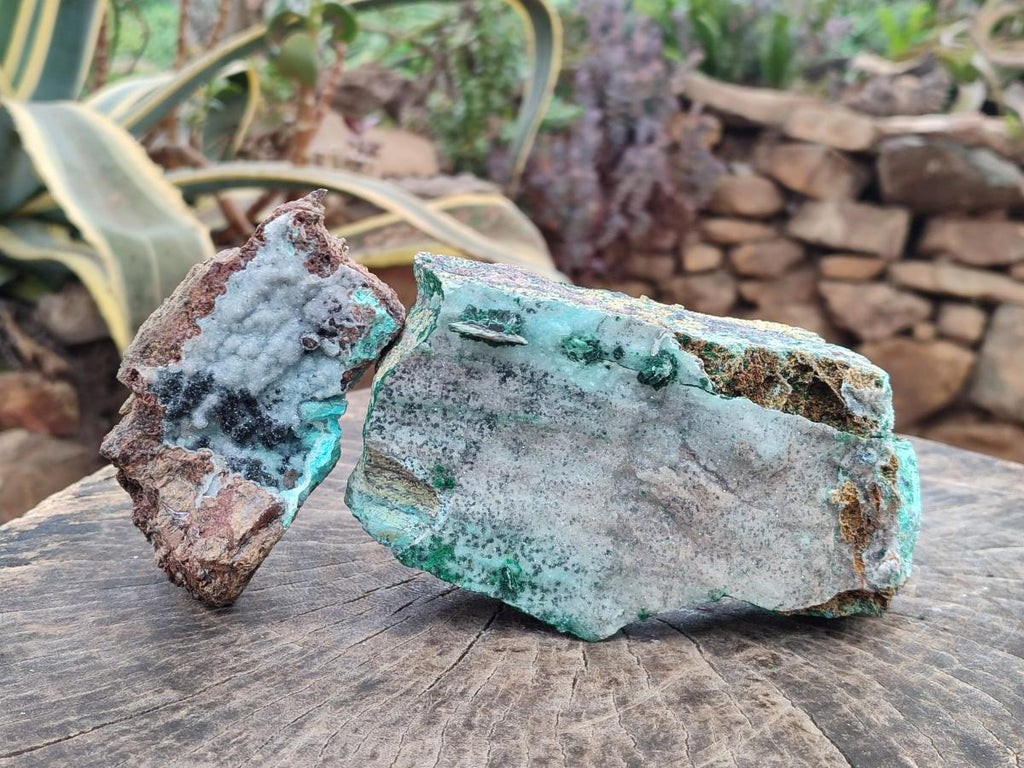 Natural Drusy Coated Chrysocolla with Malachite and Heterogenite on Dolomite Specimens x 2 From Lupoto Mine, Congo - Toprock Gemstones and Minerals 