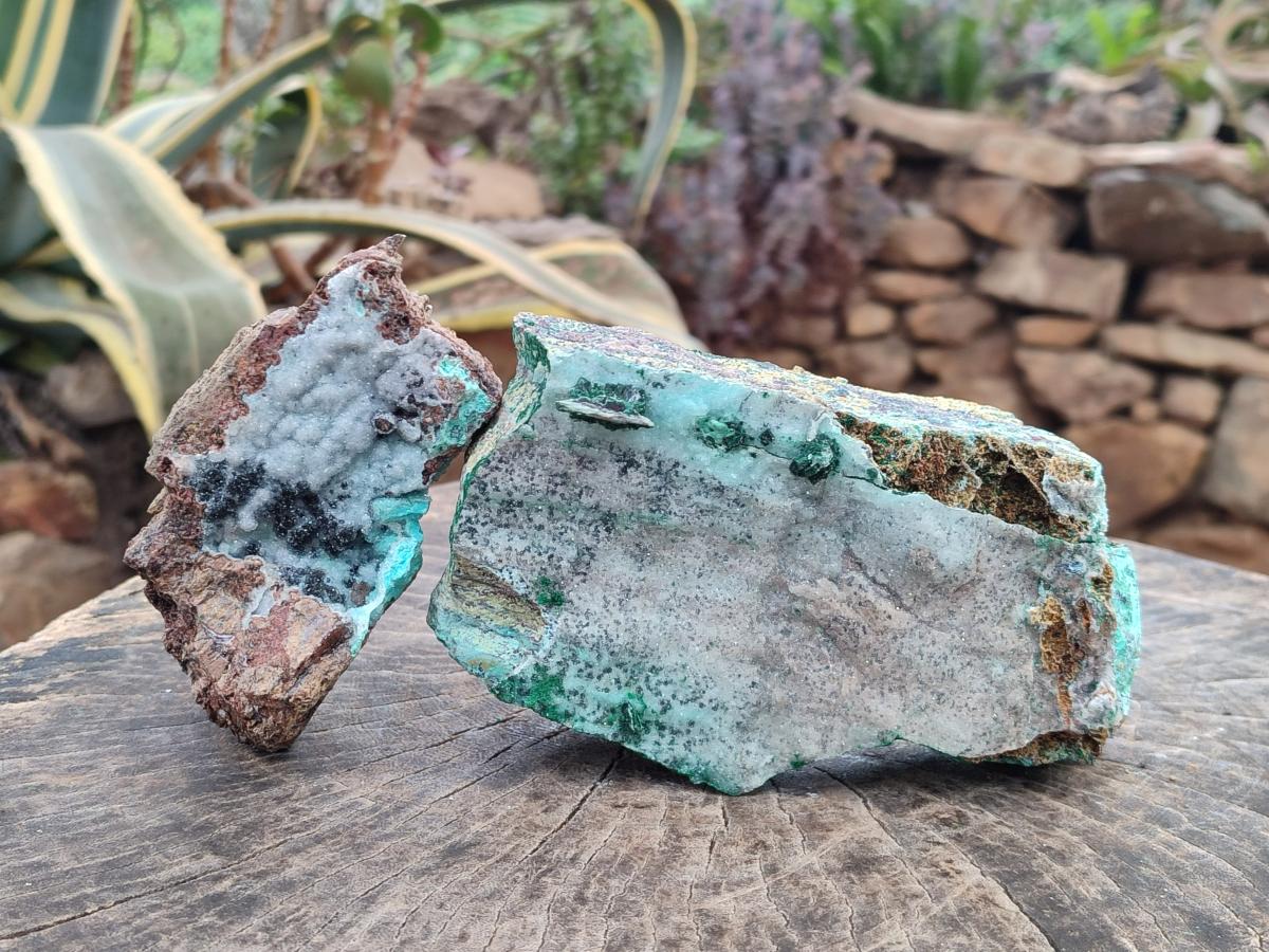 Natural Drusy Coated Chrysocolla with Malachite and Heterogenite on Dolomite Specimens x 2 From Lupoto Mine, Congo - Toprock Gemstones and Minerals 