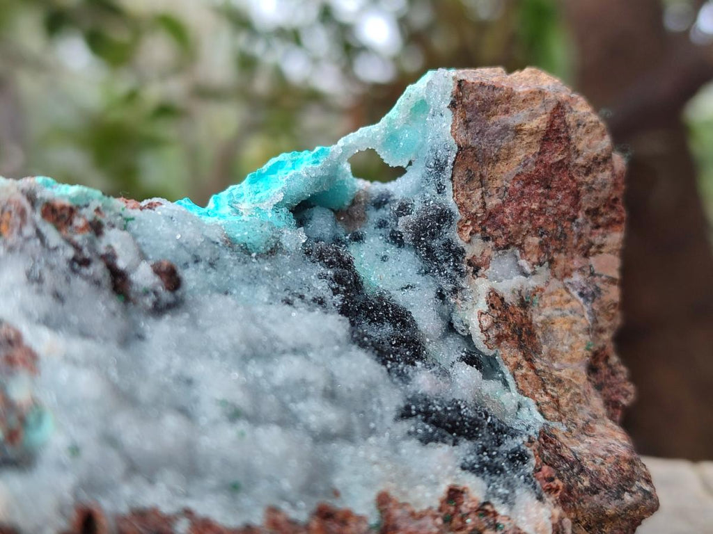 Natural Drusy Coated Chrysocolla with Malachite and Heterogenite on Dolomite Specimens x 2 From Lupoto Mine, Congo - Toprock Gemstones and Minerals 