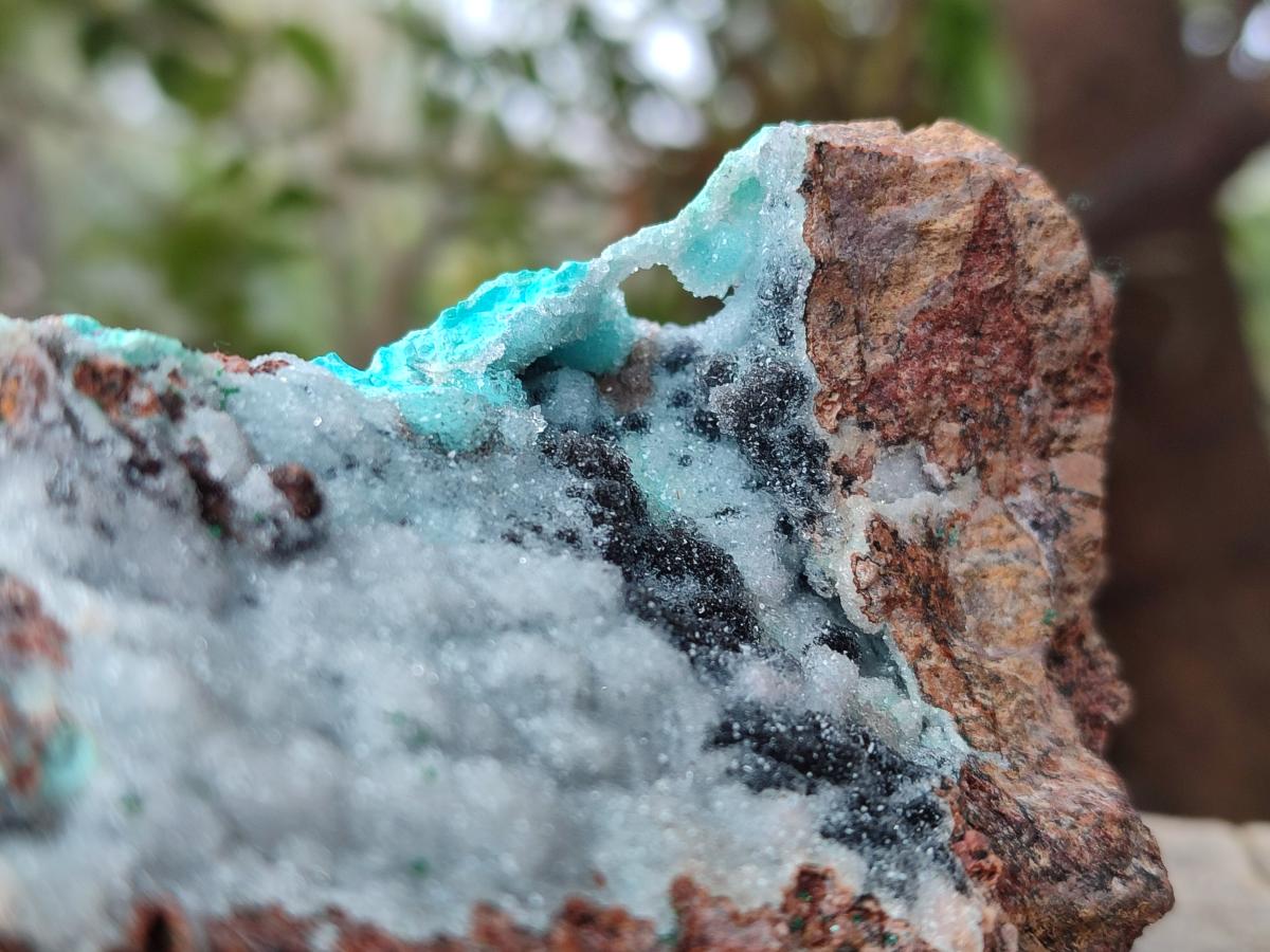 Natural Drusy Coated Chrysocolla with Malachite and Heterogenite on Dolomite Specimens x 2 From Lupoto Mine, Congo - Toprock Gemstones and Minerals 