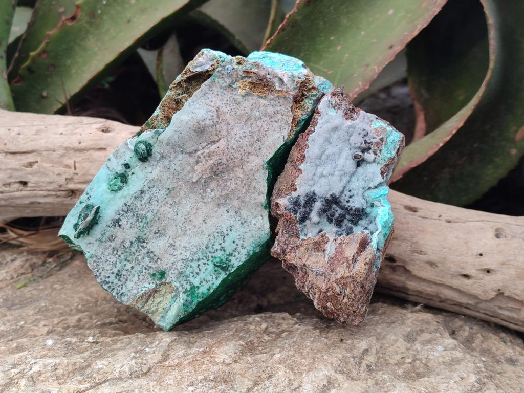Natural Drusy Coated Chrysocolla with Malachite and Heterogenite on Dolomite Specimens x 2 From Lupoto Mine, Congo - Toprock Gemstones and Minerals 