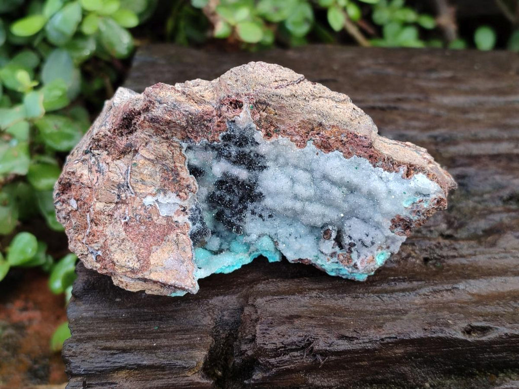 Natural Drusy Coated Chrysocolla with Malachite and Heterogenite on Dolomite Specimens x 2 From Lupoto Mine, Congo - Toprock Gemstones and Minerals 