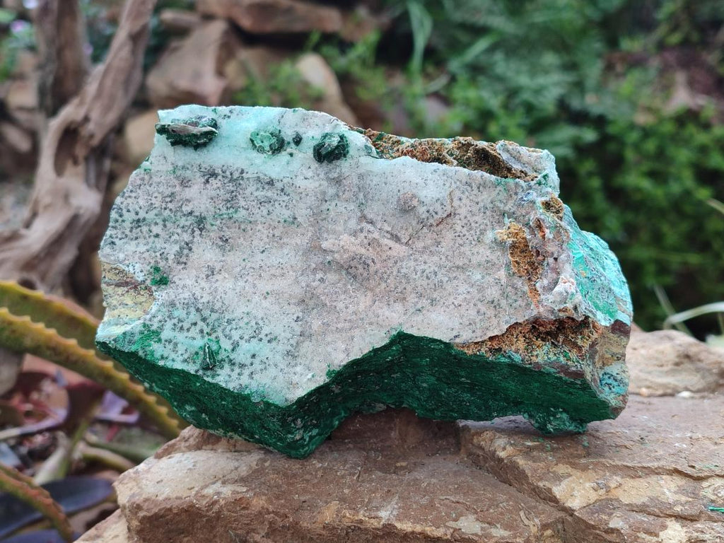 Natural Drusy Coated Chrysocolla with Malachite and Heterogenite on Dolomite Specimens x 2 From Lupoto Mine, Congo - Toprock Gemstones and Minerals 