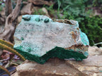 Natural Drusy Coated Chrysocolla with Malachite and Heterogenite on Dolomite Specimens x 2 From Lupoto Mine, Congo - Toprock Gemstones and Minerals 