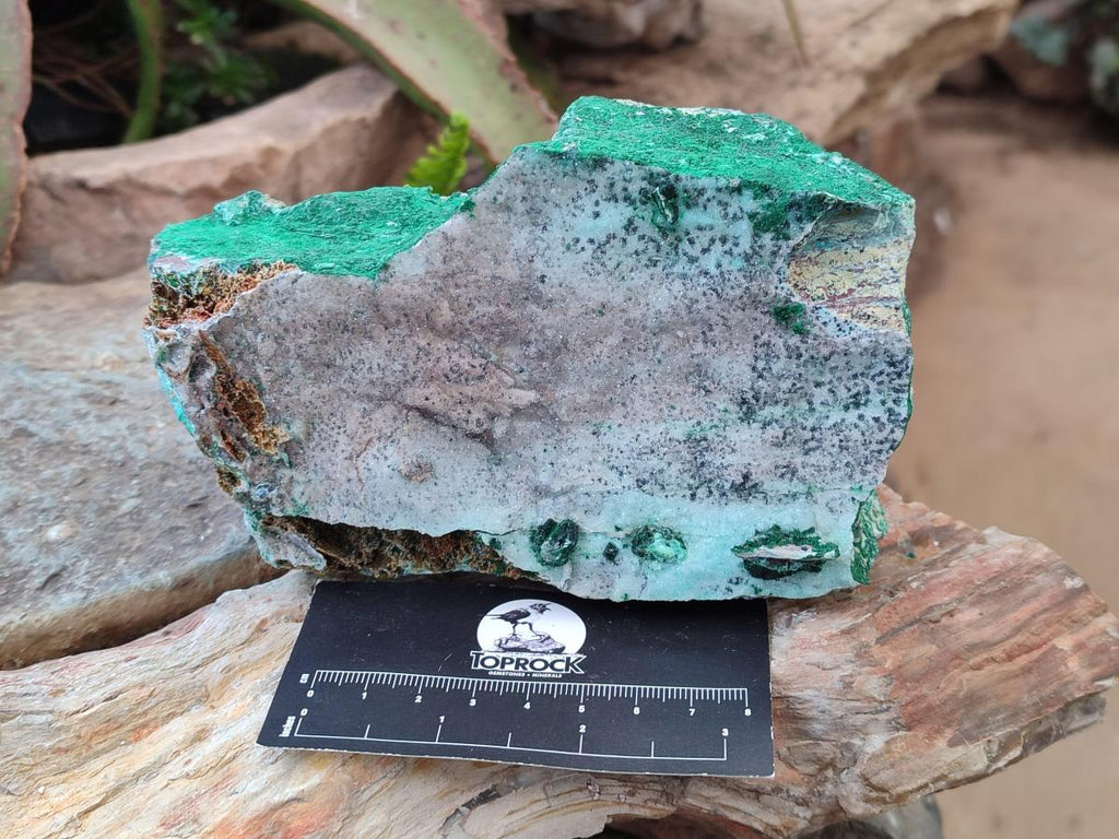 Natural Drusy Coated Chrysocolla with Malachite and Heterogenite on Dolomite Specimens x 2 From Lupoto Mine, Congo - Toprock Gemstones and Minerals 