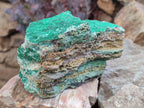 Natural Drusy Coated Chrysocolla with Malachite and Heterogenite on Dolomite Specimens x 2 From Lupoto Mine, Congo - Toprock Gemstones and Minerals 
