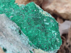 Natural Drusy Coated Chrysocolla with Malachite and Heterogenite on Dolomite Specimens x 2 From Lupoto Mine, Congo - Toprock Gemstones and Minerals 