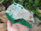 Natural Drusy Coated Chrysocolla with Malachite and Heterogenite on Dolomite Specimens x 2 From Lupoto Mine, Congo - Toprock Gemstones and Minerals 