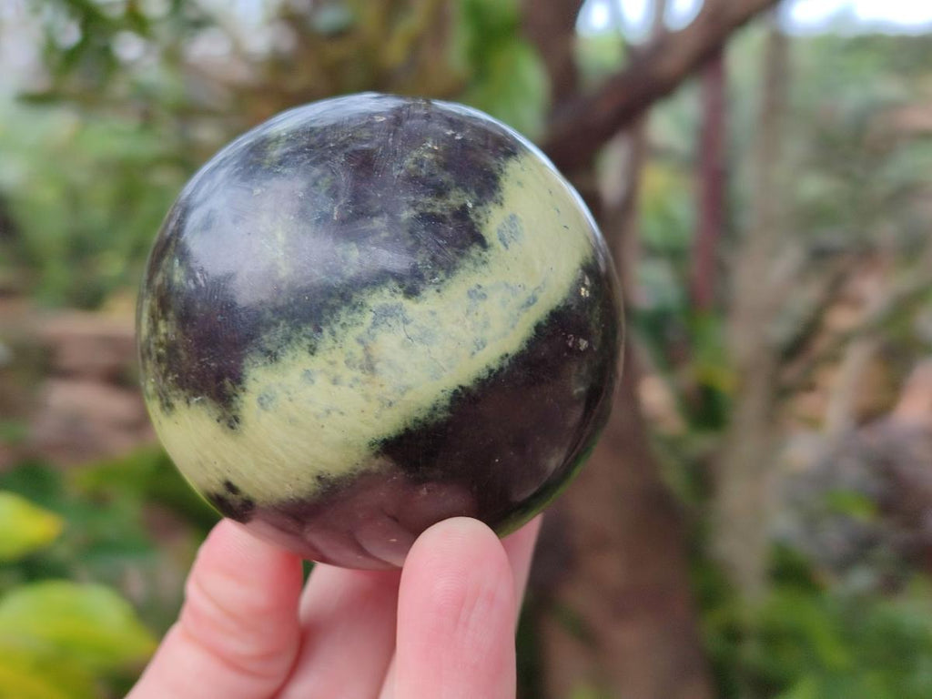 Polished Leopard Stone Spheres and Galets x 4 From Zimbabwe - Toprock Gemstones and Minerals 