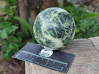 Polished Leopard Stone Spheres and Galets x 4 From Zimbabwe - Toprock Gemstones and Minerals 