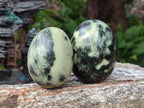 Polished Leopard Stone Spheres and Galets x 4 From Zimbabwe - Toprock Gemstones and Minerals 