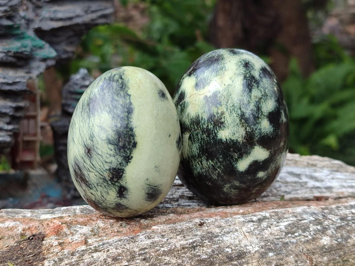 Polished Leopard Stone Spheres and Galets x 4 From Zimbabwe - Toprock Gemstones and Minerals 