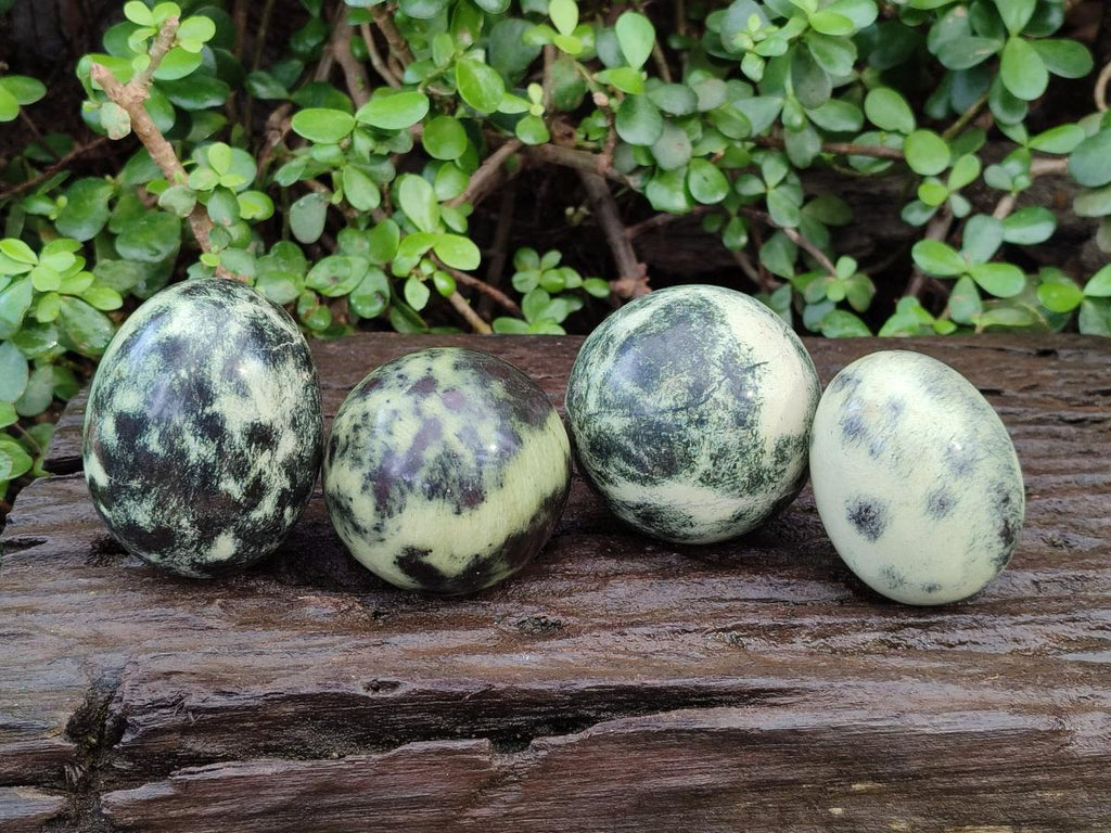 Polished Leopard Stone Spheres and Galets x 4 From Zimbabwe - Toprock Gemstones and Minerals 