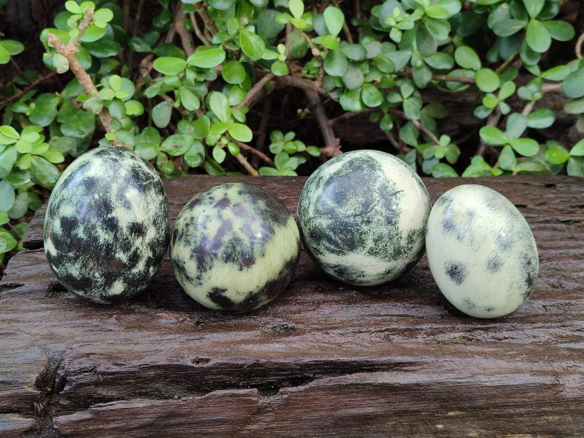 Polished Leopard Stone Spheres and Galets x 4 From Zimbabwe - Toprock Gemstones and Minerals 