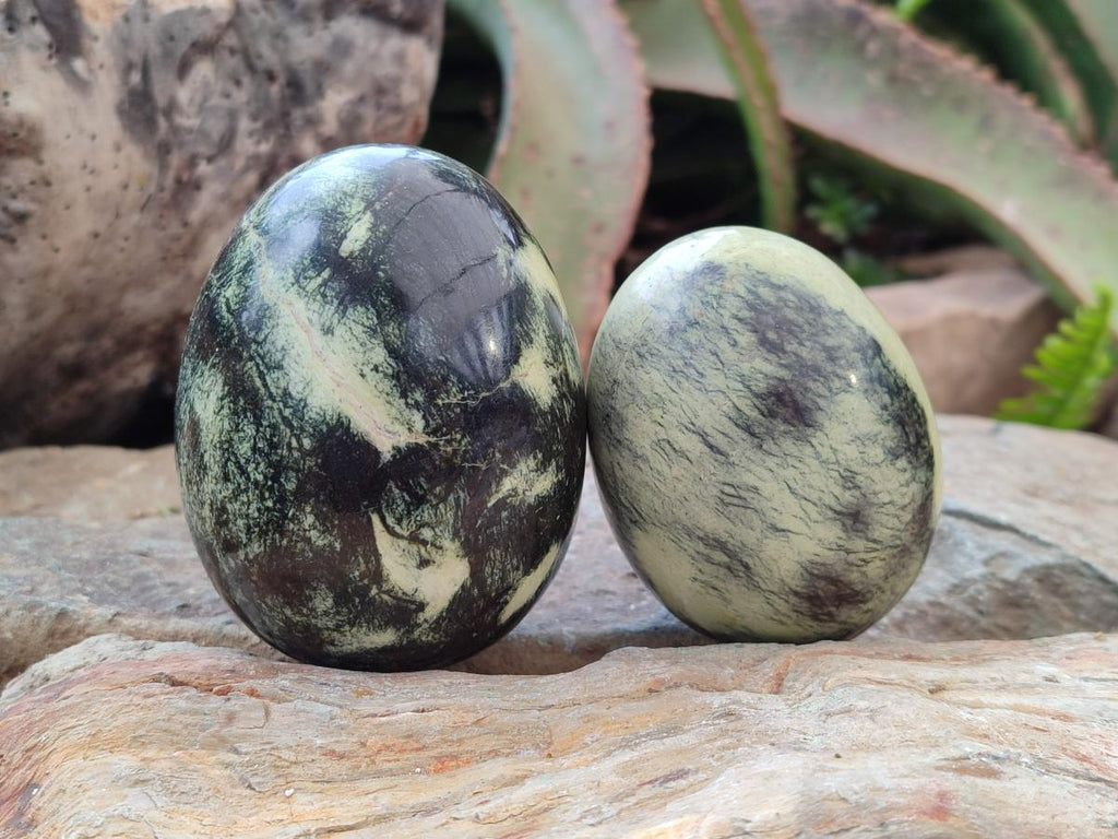 Polished Leopard Stone Spheres and Galets x 4 From Zimbabwe - Toprock Gemstones and Minerals 