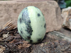 Polished Leopard Stone Spheres and Galets x 4 From Zimbabwe - Toprock Gemstones and Minerals 