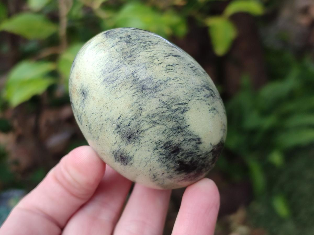 Polished Leopard Stone Spheres and Galets x 4 From Zimbabwe - Toprock Gemstones and Minerals 