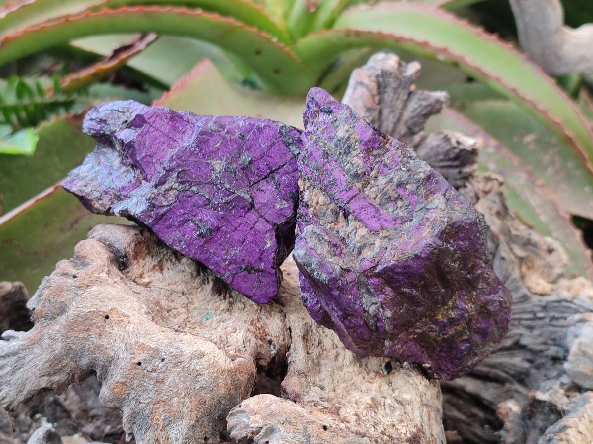 Natural Metallic Cobbed Purpurite Specimens x 6 From Erongo, Namibia - Toprock Gemstones and Minerals 
