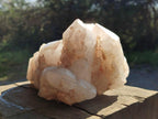 Natural Cascading "Anananas" Candle Quartz Clusters x 2 From Antsirabe, Madagascar - Toprock Gemstones and Minerals 