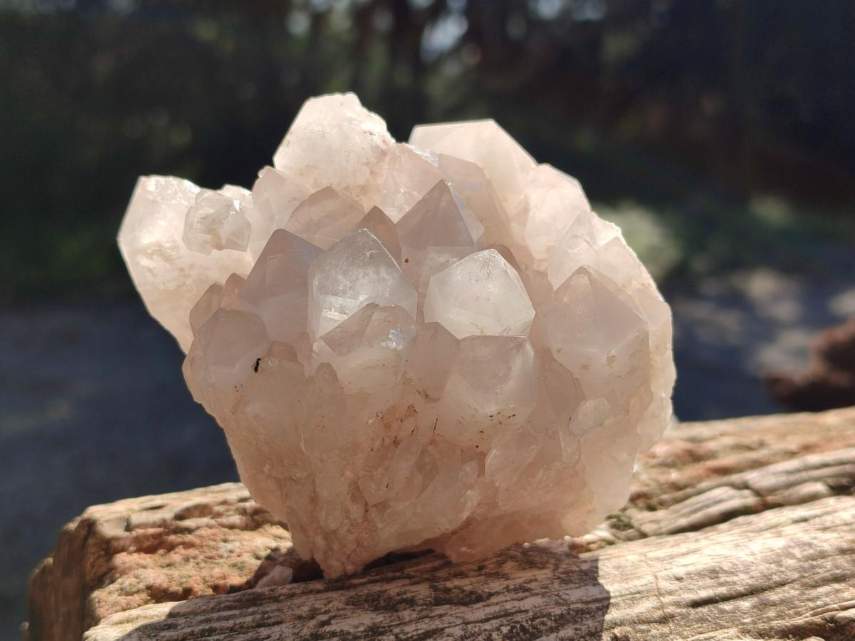 Natural Cascading "Anananas" Candle Quartz Clusters x 2 From Antsirabe, Madagascar - Toprock Gemstones and Minerals 