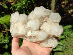 Natural Cascading "Anananas" Candle Quartz Clusters x 2 From Antsirabe, Madagascar - Toprock Gemstones and Minerals 