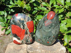 Polished Bloodstone Standing Display Pieces x 2 From Swaziland - Toprock Gemstones and Minerals 