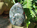 Polished Bloodstone Standing Display Pieces x 2 From Swaziland - Toprock Gemstones and Minerals 