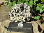 Natural Schorl Black Tourmaline with Feldspar Specimens x 3 From Erongo, Namibia - Toprock Gemstones and Minerals 