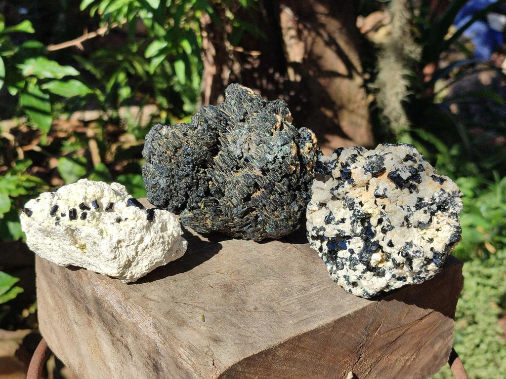 Natural Schorl Black Tourmaline with Feldspar Specimens x 3 From Erongo, Namibia - Toprock Gemstones and Minerals 