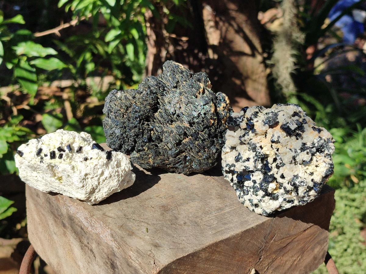 Natural Schorl Black Tourmaline with Feldspar Specimens x 3 From Erongo, Namibia - Toprock Gemstones and Minerals 