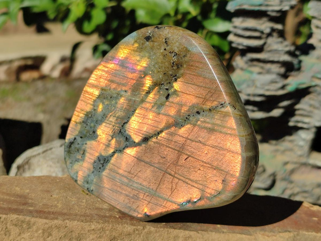 Polished Rare Orange-Gold Sunset Flash Labradorite Standing Display Pieces x 3 From Madagascar - Toprock Gemstones and Minerals 